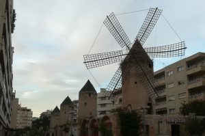 Sindicat Independent de Balears (SIB) joins WOW - post WOW