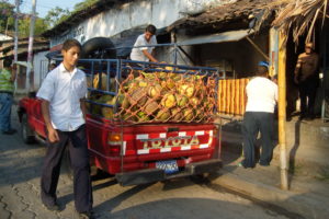 Latin America must urgently provide money to its poor - post WOW